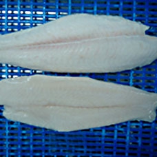 Panga Fillet Welltrimmed 